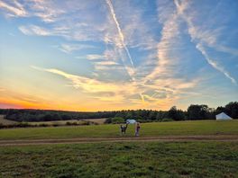 Lovely skies