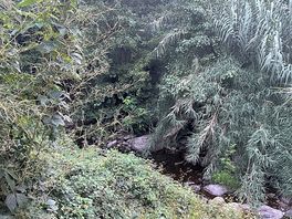 Petite rivière