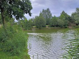 Pond