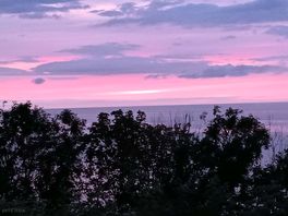 Shepherd's delight