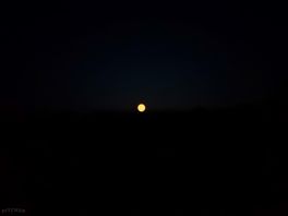 Moon again