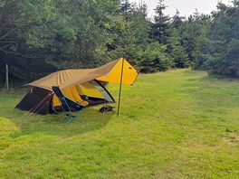 Lovely pitch amongst the trees yes that's one large pitch great space for families