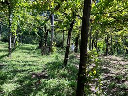 View from our tent