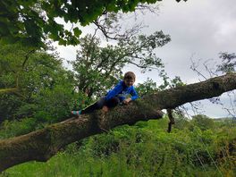 Natures playground