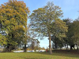 Always sunny in wrexham