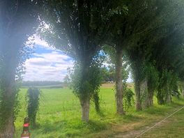 View from our tent!
