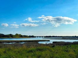 Walk by the estuary