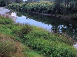 River next to pitches