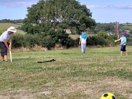 Cricket