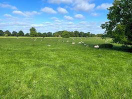 Field leading to burton constable manor