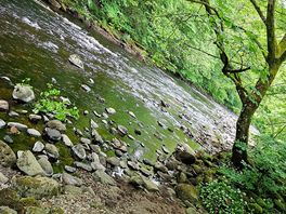 Local river walk.