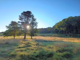 Early morning view from our tent.