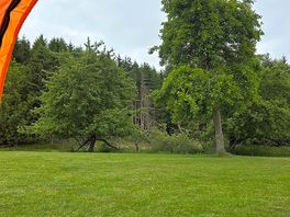 Tent view