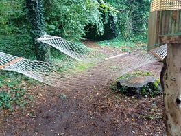 Hammocks / free