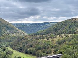Monsal head
