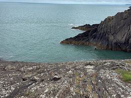 Sea view’s