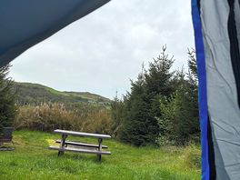 View from tent