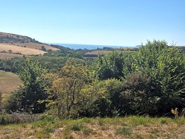 Our view