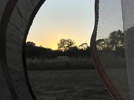 The views from the tent