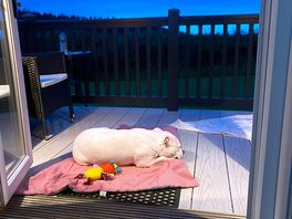 Pod decking