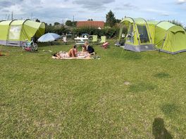 Large electric pitches