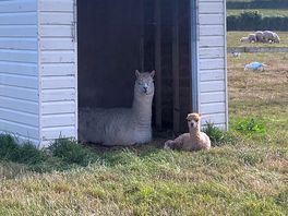 Friends!