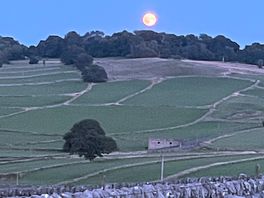 Moonlight view from our tent.