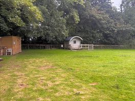 The field