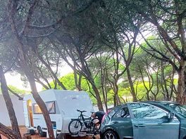 Entre les arbre pas facile