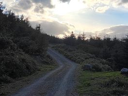 Hiking