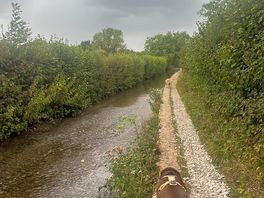 Long ford