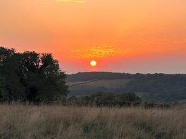 Sunset view from the farm field🌅