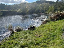 River forth beside a nice open green space picnic area and beach