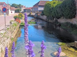 Local town