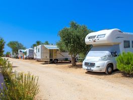 big pitches for campers