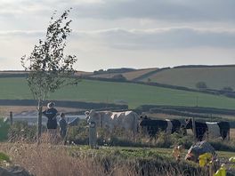View across the beautiful fields