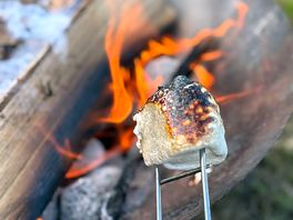 Roasting
