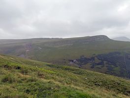 Walk near campsite
