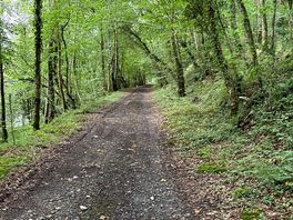 Walks near by