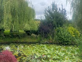 Stunning pond on the park site
