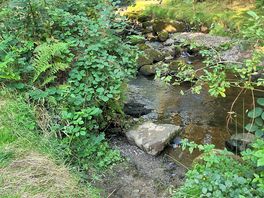 Riverside camping