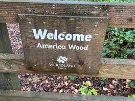 Endtrance to the american wood