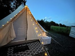 Lovely fairy lights outside!