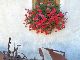 Lovely details everywhere
