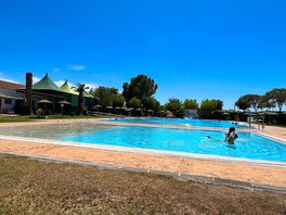Large pool