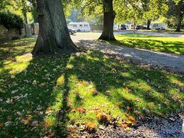 Beautiful autumn morning