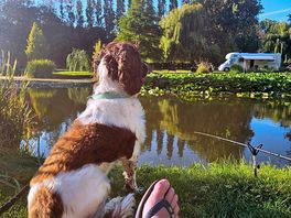 Duke watching me fish