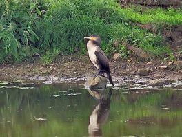 Canal walk to garstang