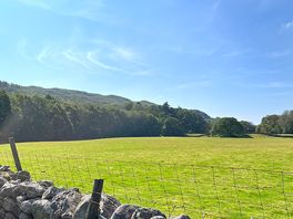 Field