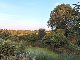 Surrounding